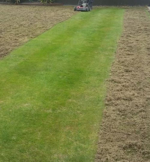 1.scarifying-process (2)