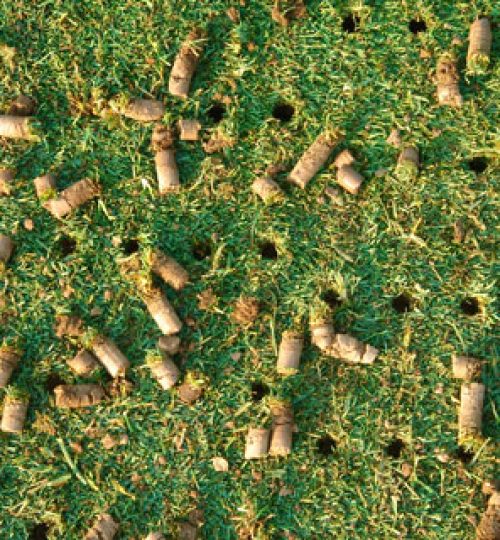 lawn-aeration-winnipeg